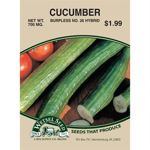 Cucumber Burpless #26 700mg