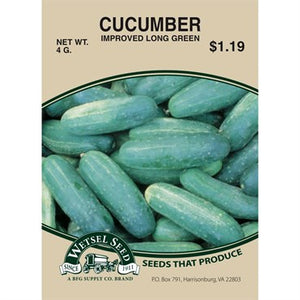 Cucumber Improved Long Green 4g