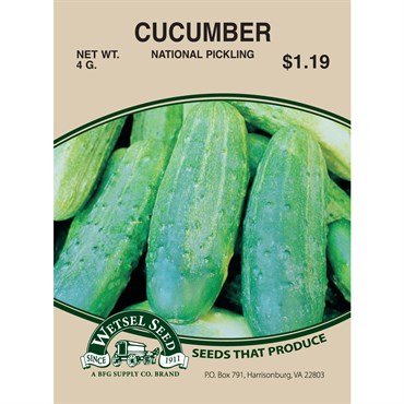 Cucumber National Pickling 4g
