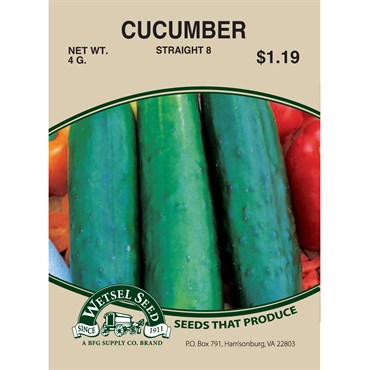 Cucumber Straight 8 3g
