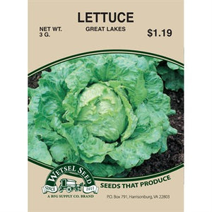 Lettuce Great Lakes 3g