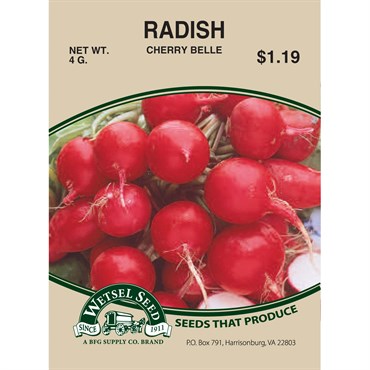 Radish Cherry Belle 4g