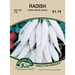 Radish Long White Icicle 4g