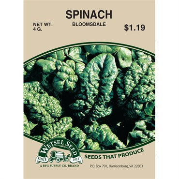 Spinach Bloomsdale 4g