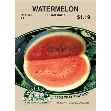Watermelon Sugar Baby 4g