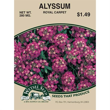 Alyssum Royal Carpet 280mg