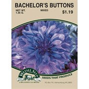 Bachelor's Button 1.35g