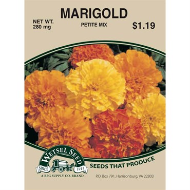 Marigold Petite Mix 280mg