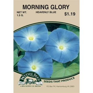 Morning Glory Heavenly Blue 1.5g