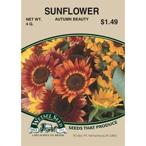 Sunflower Autumn Beauty 4g