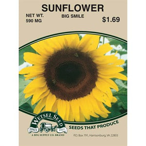 Sunflower Big Smile 590mg