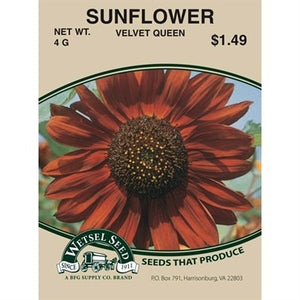 Sunflower Velvet Queen 4g