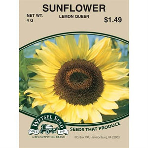 Sunflower Lemon Queen 4g